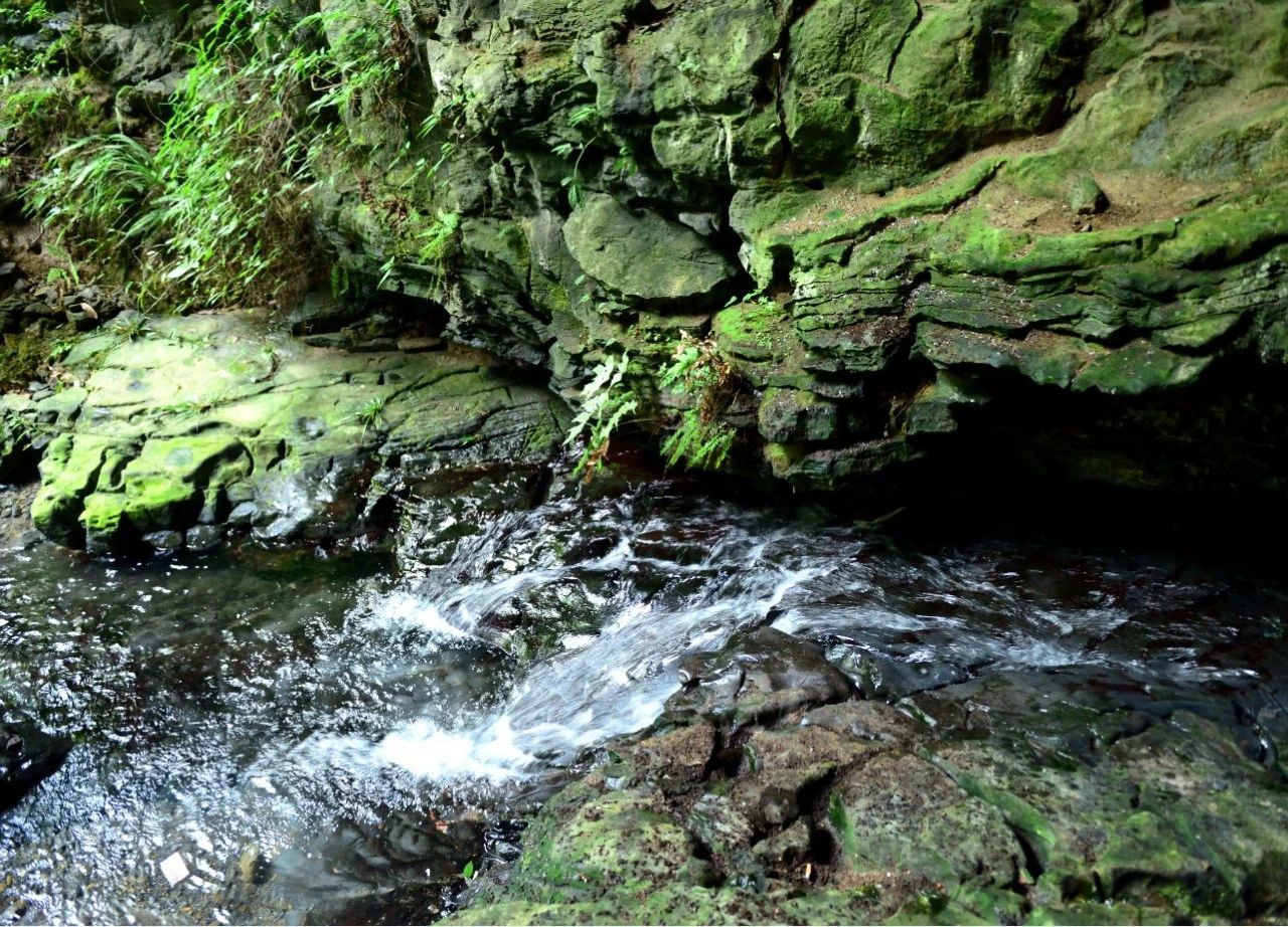 新華社帶你(nǐ)探秘“緻富”泉