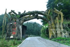 2019，你(nǐ)好(hǎo)！